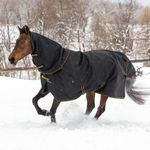 Bucas Irish Turnout Halsteil Combi Neck 300g