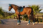 LeMieux Bandagen Loire Satin Polo in Peacock 
