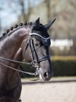 LeMieux Fliegenhaube Loire Satin in Black