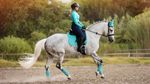 LeMieux Schabracke Dressage Luxury Square Suede in Azure