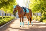 LeMieux Dressur Schabracke Loire Classic Satin Square in Azure