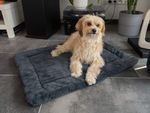 TrendPet Hundedecke Harmony in anthrazit