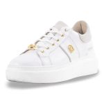 Cavallo Sneaker Second Edition
