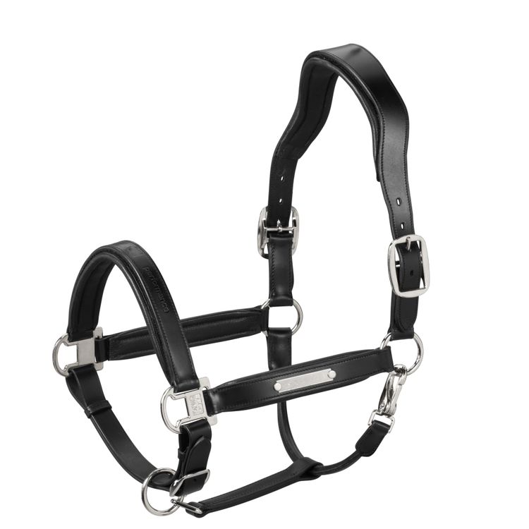 Eskadron Halfter LEATHER Stallion in black