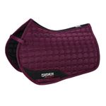 Eskadron Basic Glossy Compact in racinggreen oder blackberry