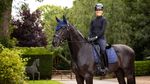 LeMieux Dressurschabracke Crystal Suede Dressage Pad Navy