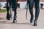 Südwind Stiefel Nova Tall Vegan in schwarz