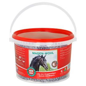 SALVANA Magen Wohl 3kg Eimer 