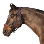 Euroriding Halfter Mellac, Nylon/Leder, Euro-Club