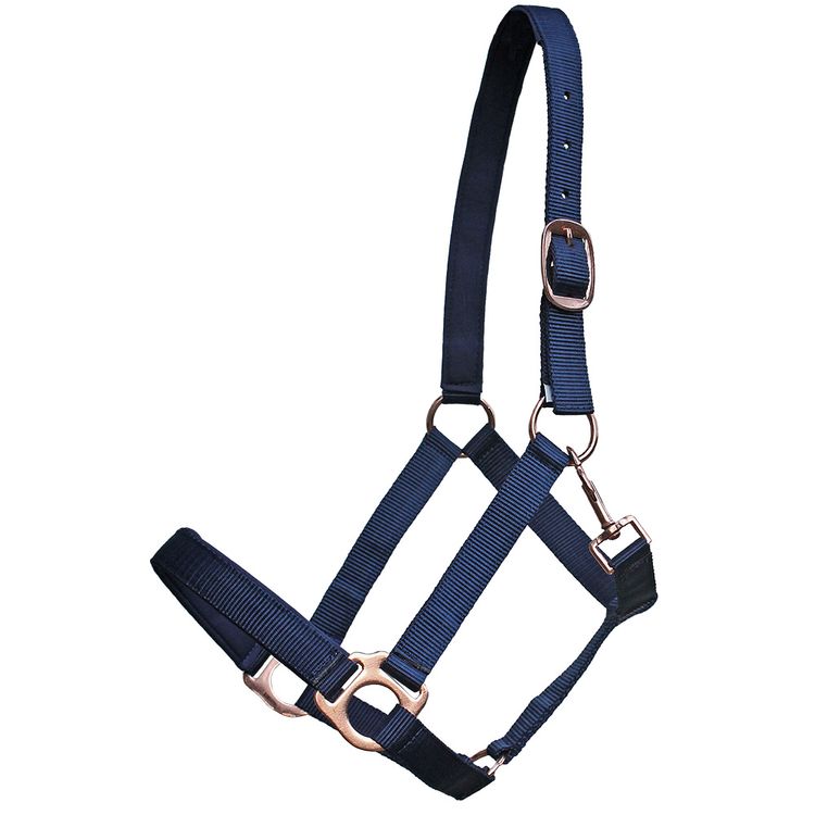 Euroriding Halfter Guide in Rosegold