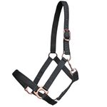 Euroriding Halfter Guide in Rosegold