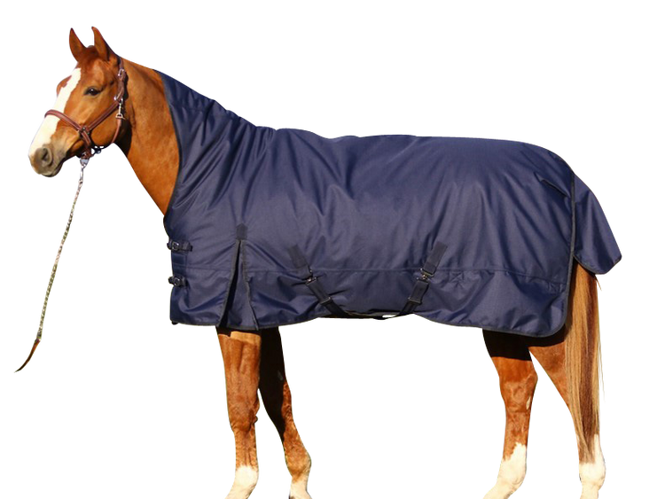 Euroriding Outdoor Decke Kodiak, High Neck, 200 Gramm Füllung