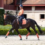 LeMieux Dressur Schabracke Suede Close Contact Square in apricot
