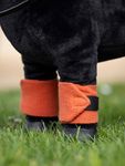 LeMieux Bandagen in apricot für das Toy Pony 