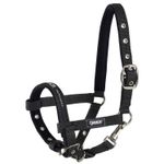 Eskadron New Basic Fohlenhalfter, 3 fach Dornschnalle