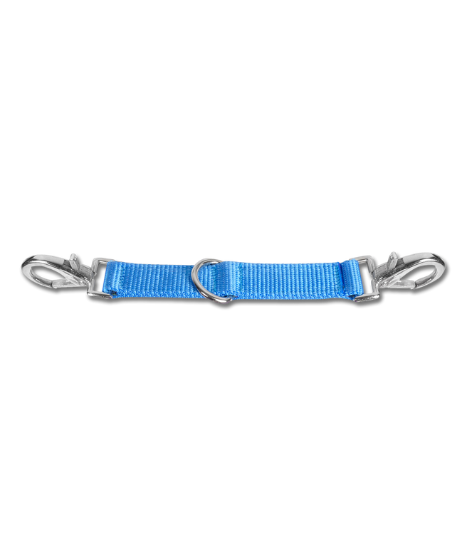 Waldhausen Longierbrille in azur