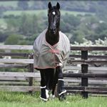 Bucas Freedom Turnout light in hazelnut