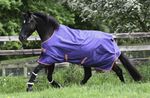Bucas Freedom Turnout light in navy/grape