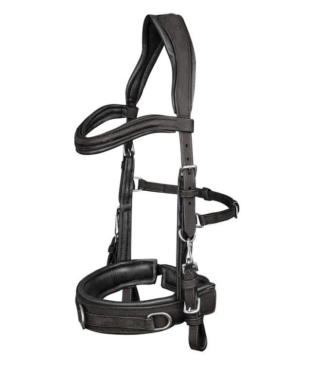 Waldhausen Lederkappzaum anatomic in schwarz