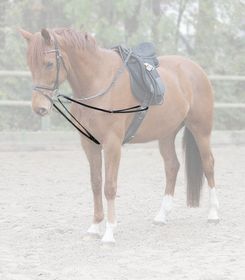 Waldhausen X-Line Dreieckszügel - einteilig 