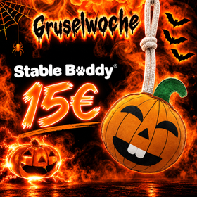 Stable Buddy, Pferdespielzeug, Halloween Kürbis Jack