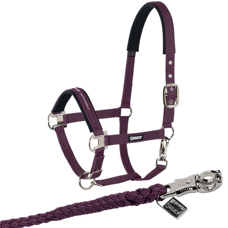 Eskadron Set Halfter Pin Buckle mit Panikhakenstick in blackberry