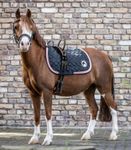 Waldhausen Longiergurt mit zwei Handgriffen in schwar/grau