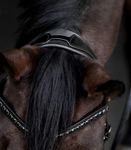 Waldhausen S-Line Lacktrensenzaum Blackshine