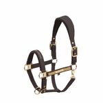 Eskadron Heritage Halfter Faux Leather Double Pin