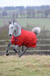 Bucas Freedom Turnout light in Crimson Shetty/Pony