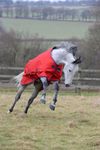 Bucas Freedom Turnout 150g. in Crimson Shetty/Pony