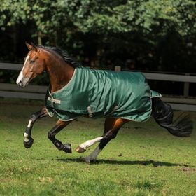 Bucas Freedom Turnout light in opal/taupe 125cm