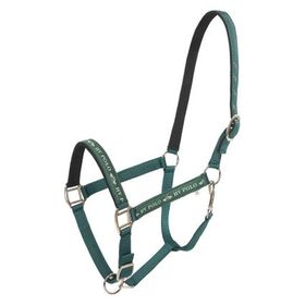 HV Polo Halfter HVPNena Duck green