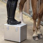 Aleon EquiLux Case Putzbox Fortis Onyx Dust