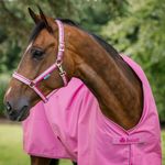 Bucas Freedom Turnout light in aurora pink