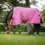 Bucas Freedom Turnout light in aurora pink