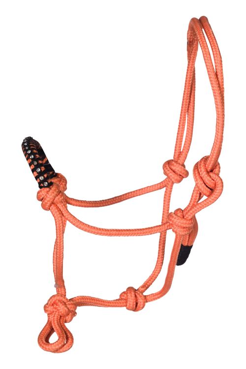 HKM Hobby Horse Knotenhalfter in orange