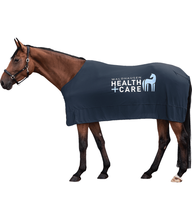 Waldhausen Health + Care Ice-Layer Decke