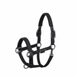 Eskadron Platinum Halfter Sparkle Double-Pin