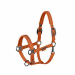 Eskadron Platinum Halfter Sparkle Double-Pin