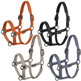Eskadron Platinum Halfter Sparkle Double-Pin