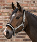 Waldhausen Halfter Elegant in salbei