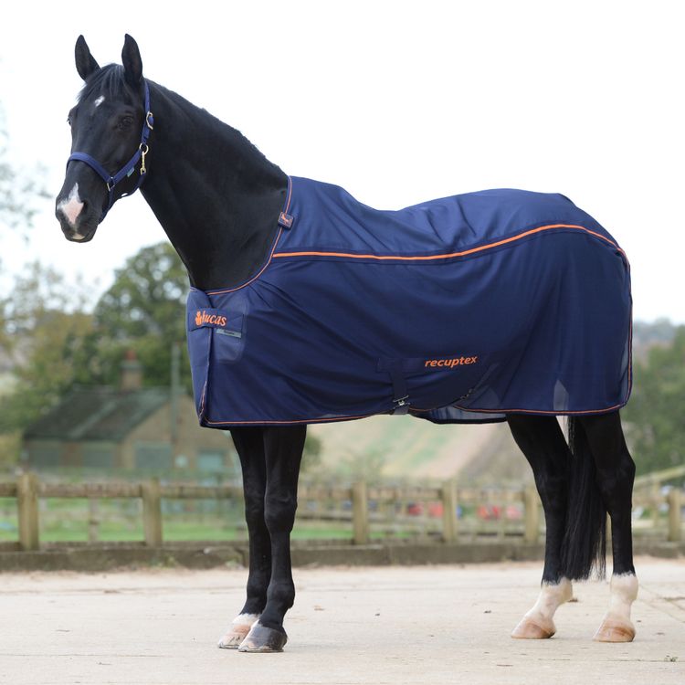 Bucas Therapy Mesh Cooler Navy