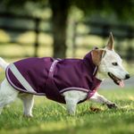 Bucas Freedom Hundemantel in blackberry