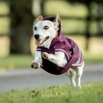 Bucas Freedom Hundemantel in blackberry