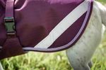 Bucas Freedom Hundemantel in blackberry