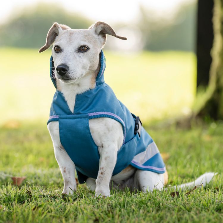 Bucas Freedom Hundemantel in blueberry