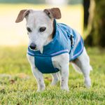 Bucas Freedom Hundemantel in blueberry