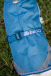 Bucas Freedom Hundemantel in blueberry