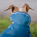 Bucas Freedom Hundemantel in blueberry